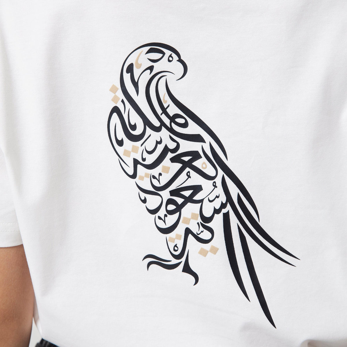 Printed Casual T.Shirt for Women Image