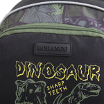 Trolley Backpack for Boys Image