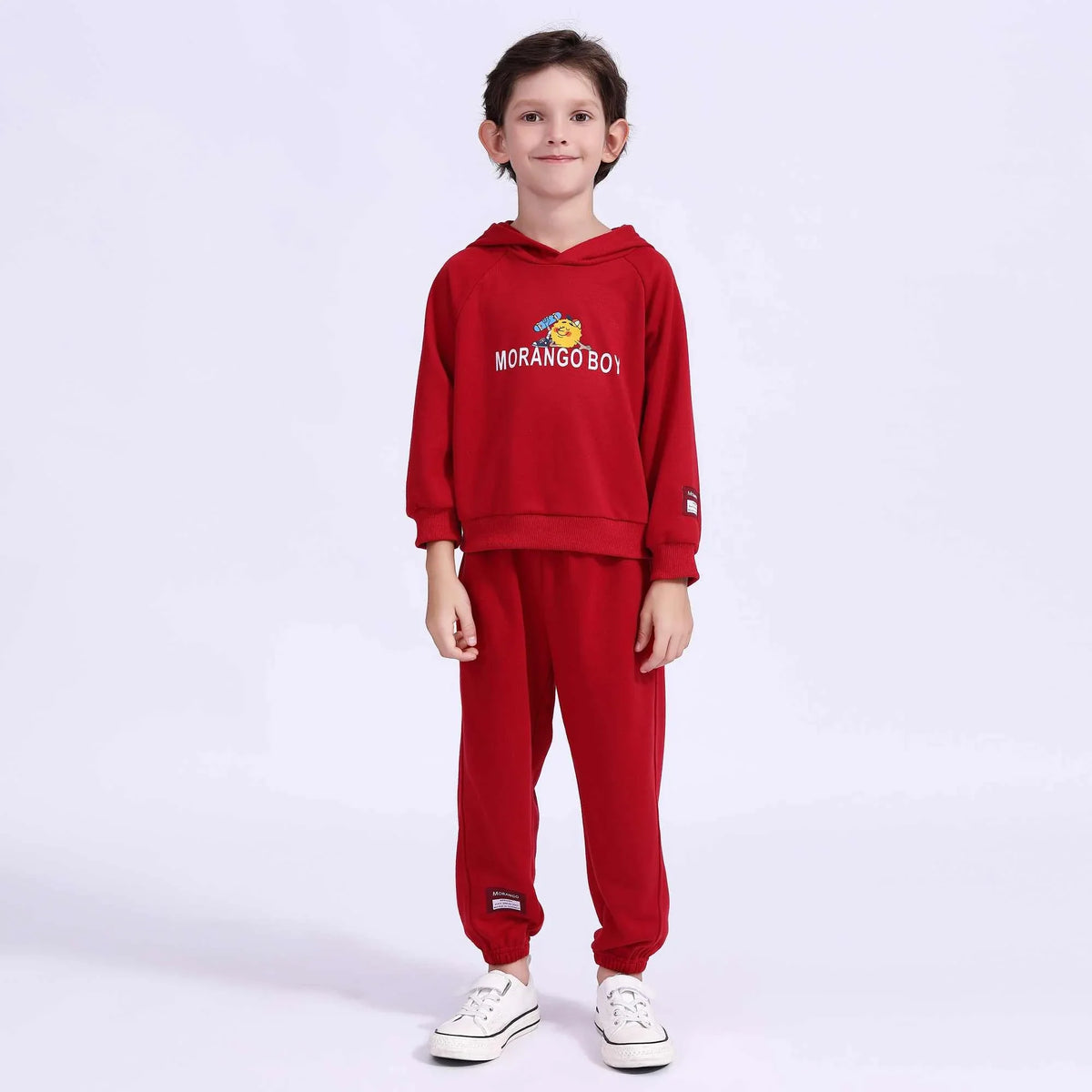 Printed Basic Pullover For Boys Maroon Image