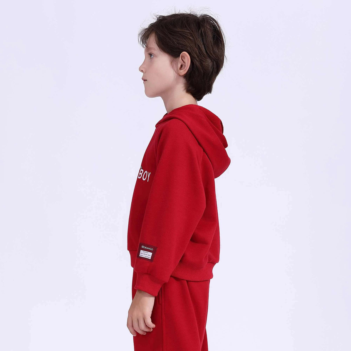 Printed Basic Pullover For Boys Image