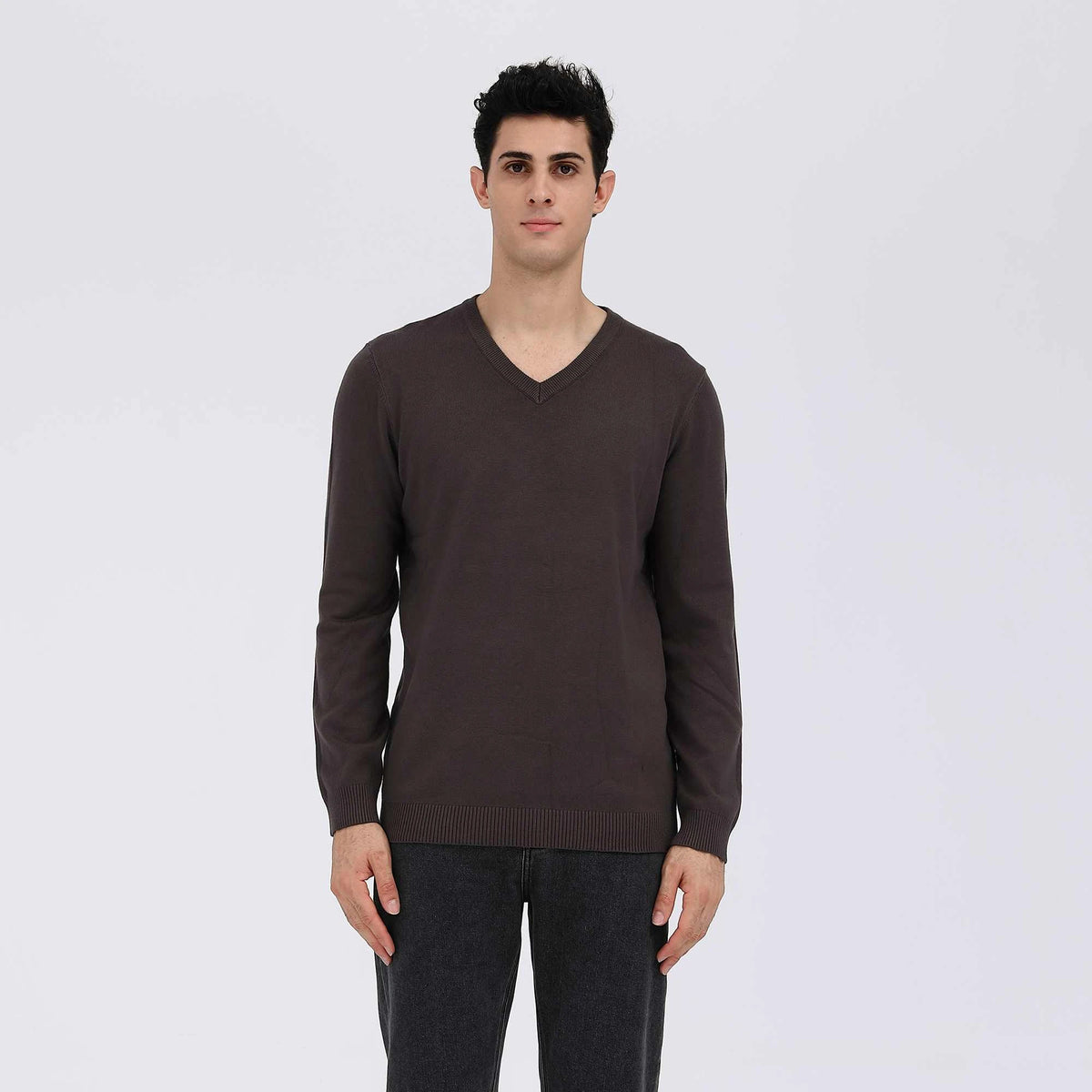 Plain Casual Sweater For Men