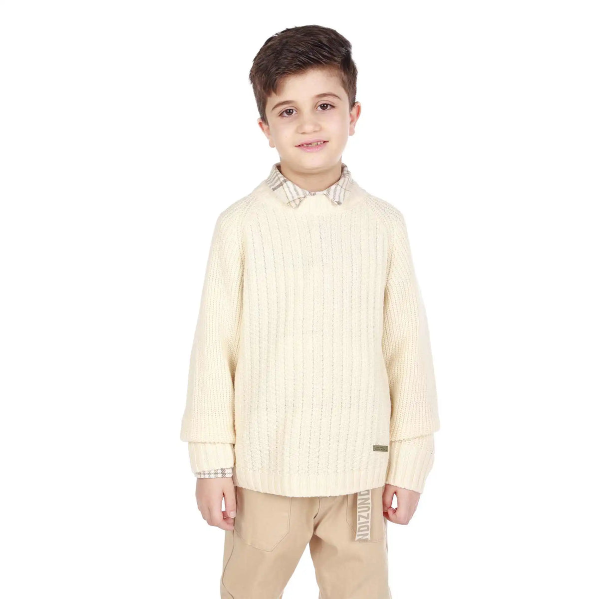 badge elegant sweater for boys image