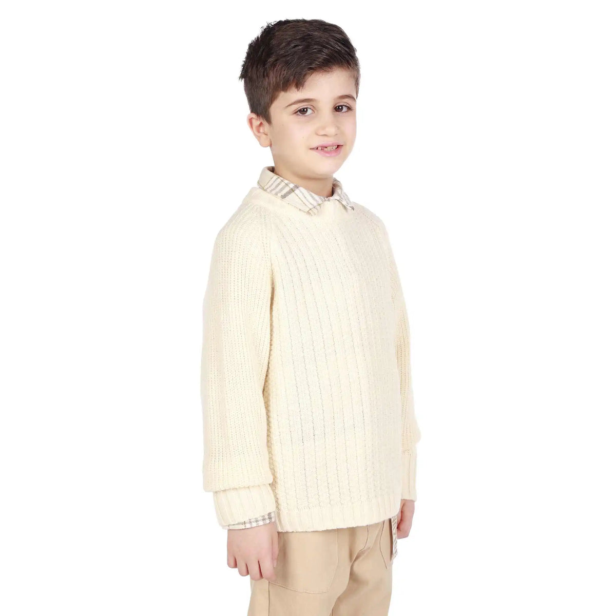 badge elegant sweater for boys image