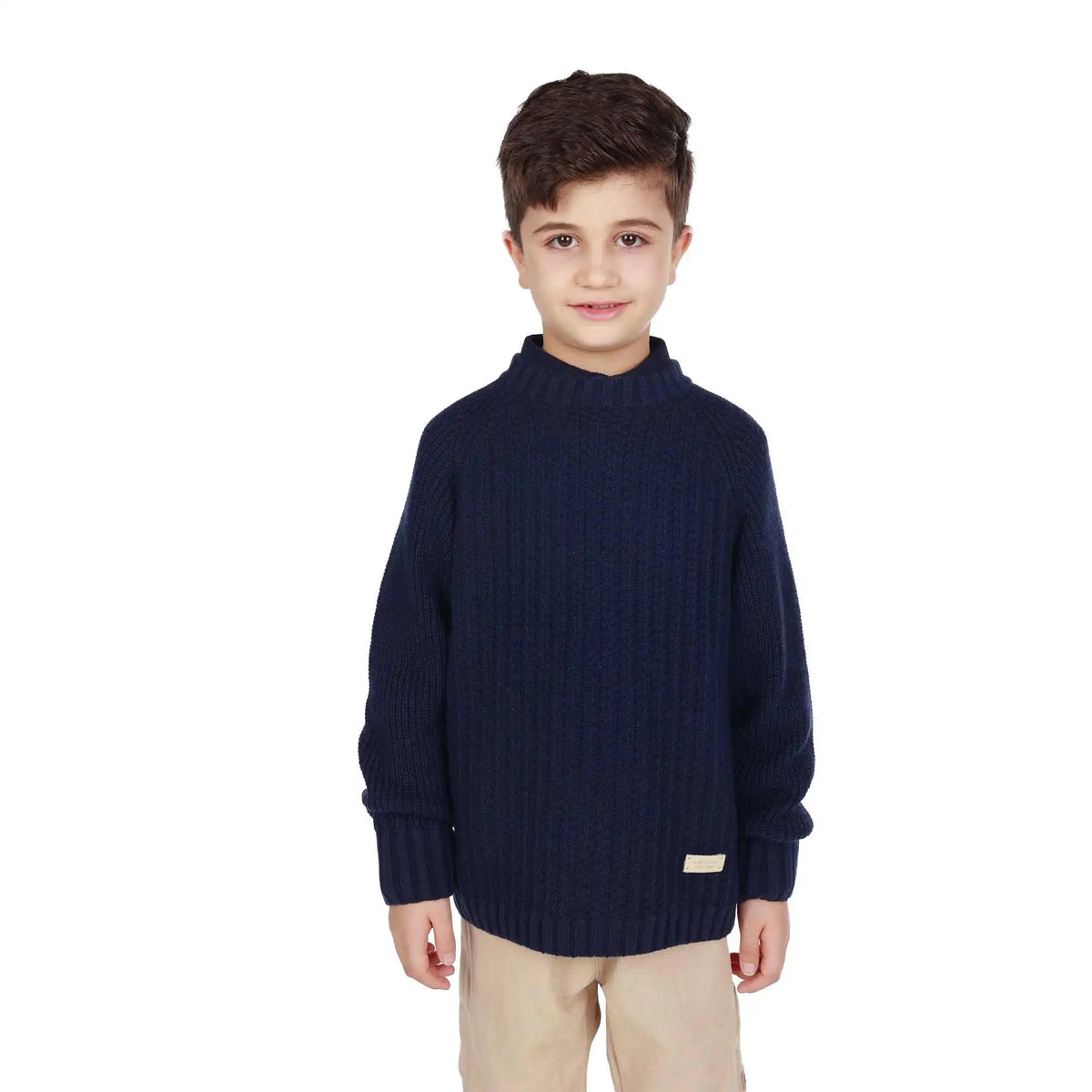 badge elegant sweater for boys image