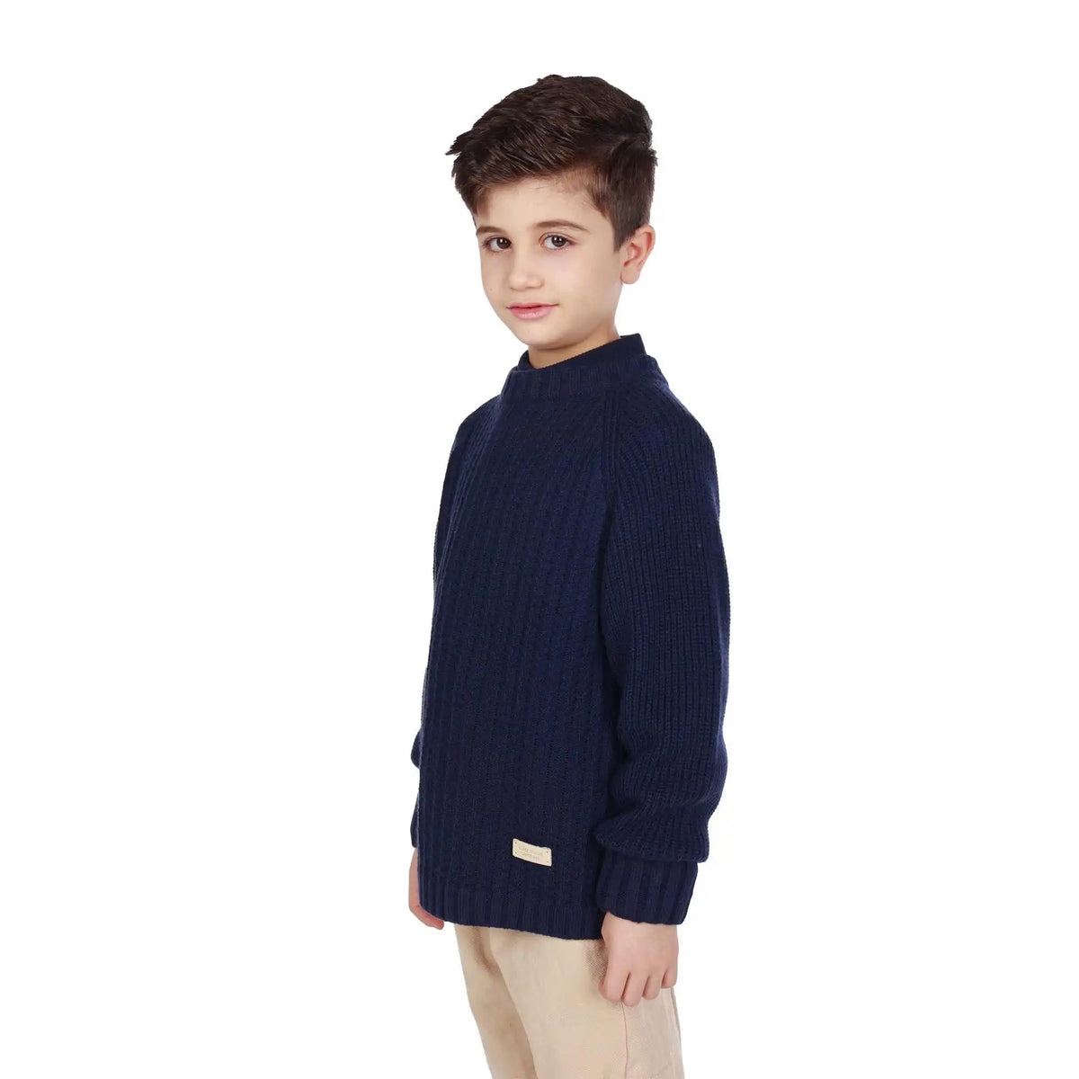 badge elegant sweater for boys image