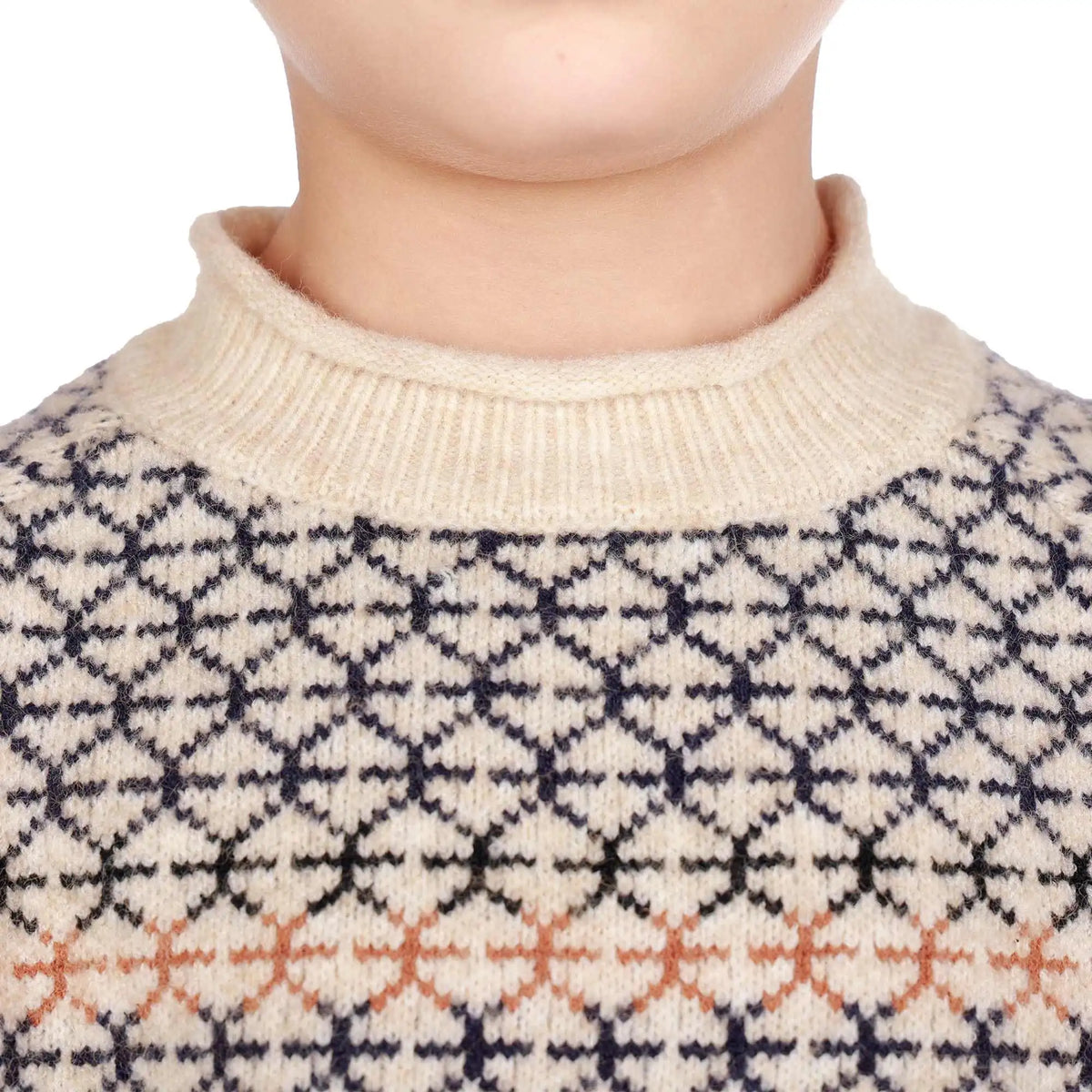 prominent print elegant sweater for boys image