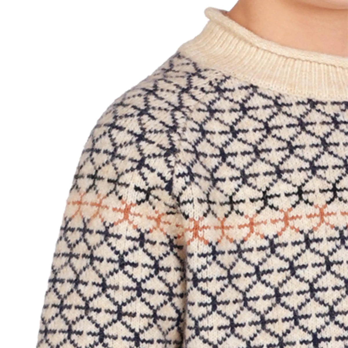 prominent print elegant sweater for boys image