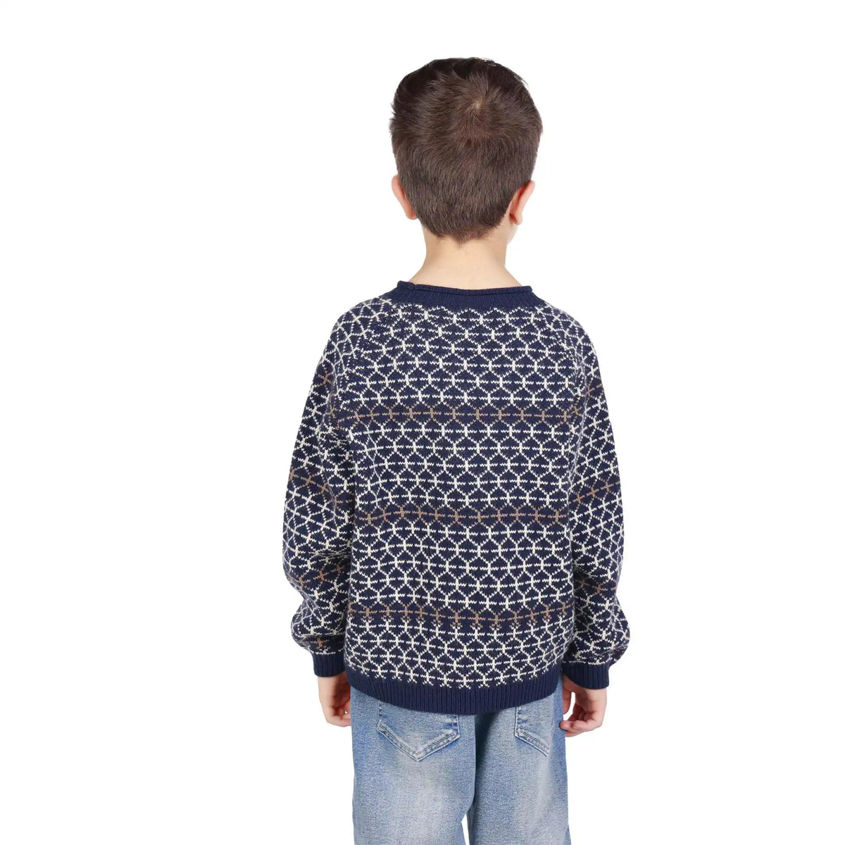 prominent print elegant sweater for boys image