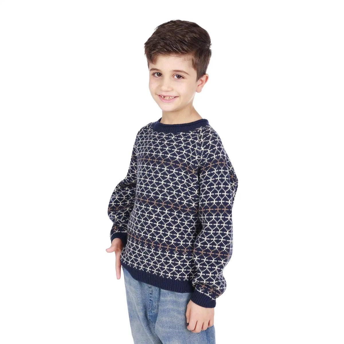 prominent print elegant sweater for boys image