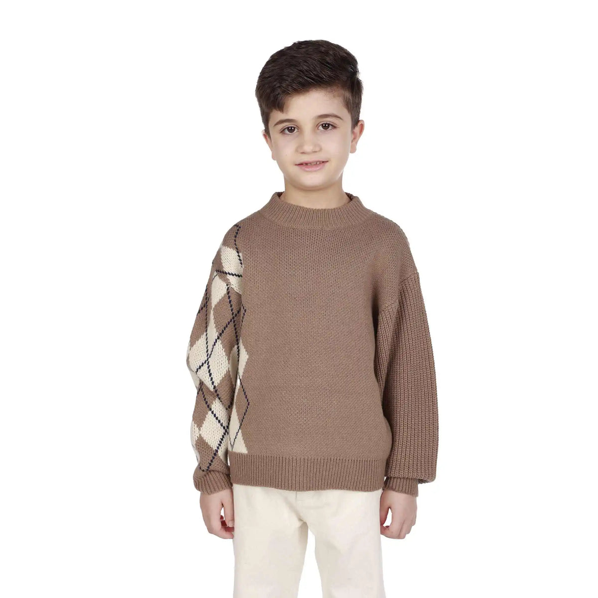 Prominent Print Elegant Sweater For Boys