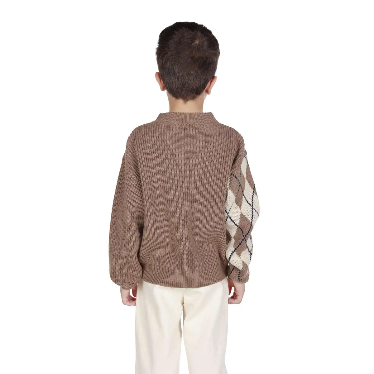 Prominent Print Elegant Sweater For Boys