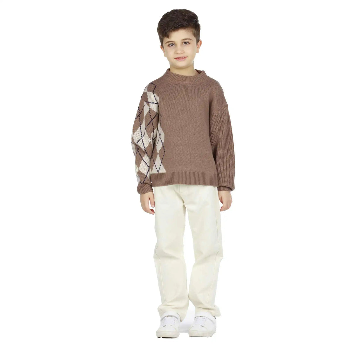 Prominent Print Elegant Sweater For Boys