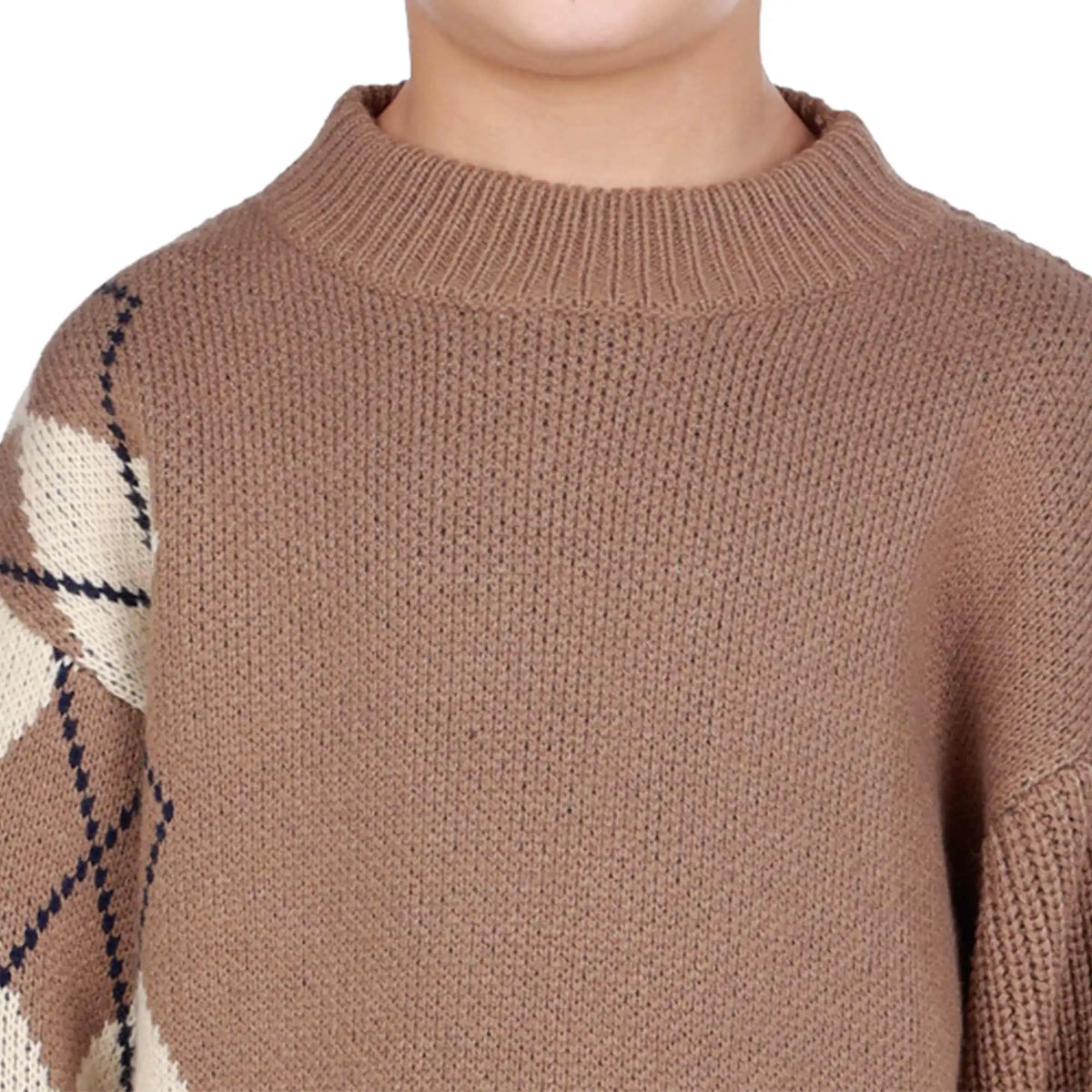 Prominent Print Elegant Sweater For Boys