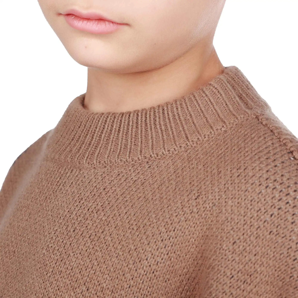 Prominent Print Elegant Sweater For Boys