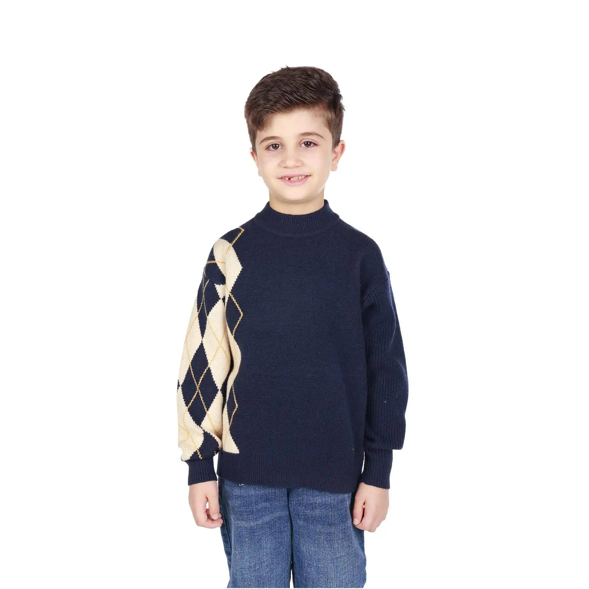 Prominent Print Elegant Sweater For Boys