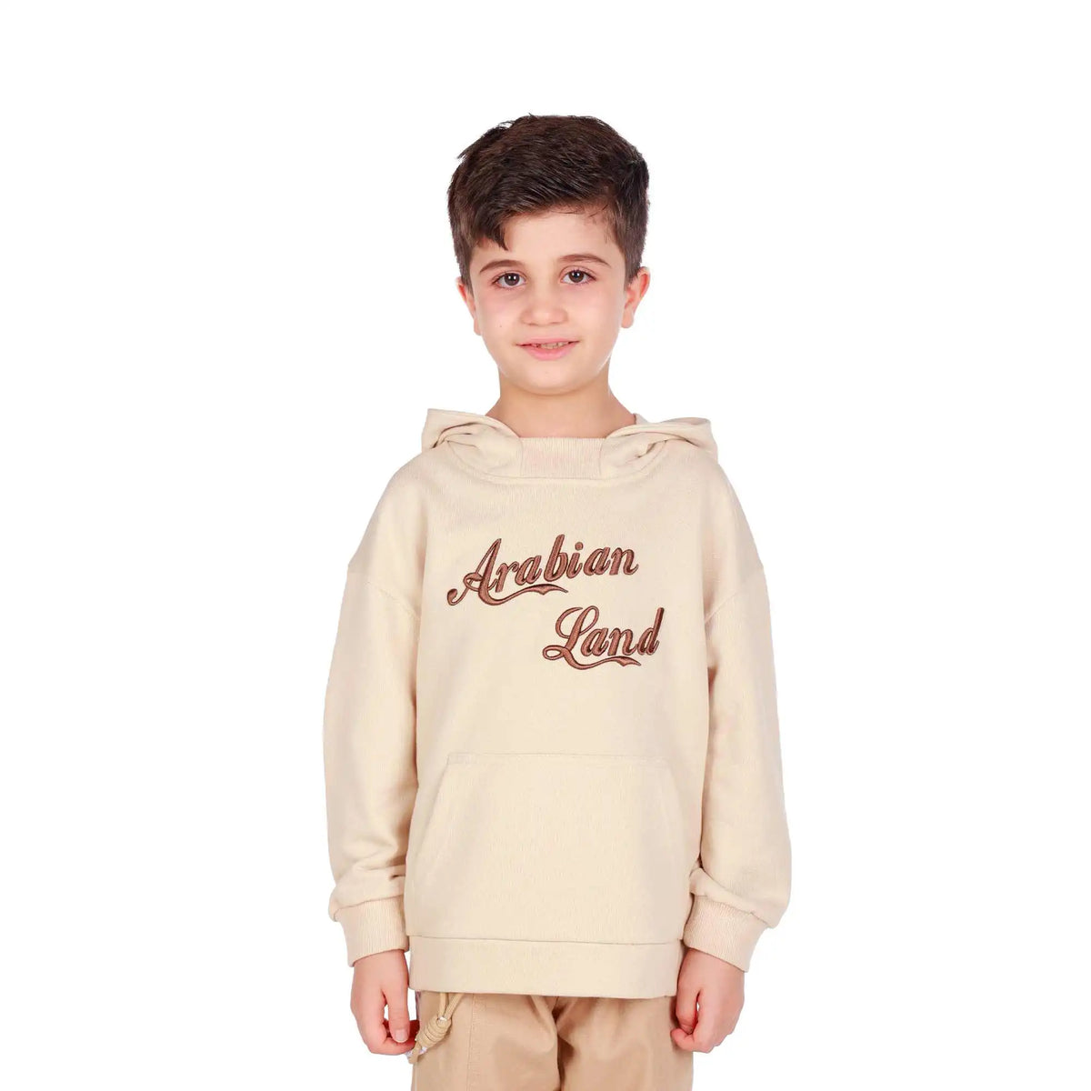 embroidery elegant pullover for boys image