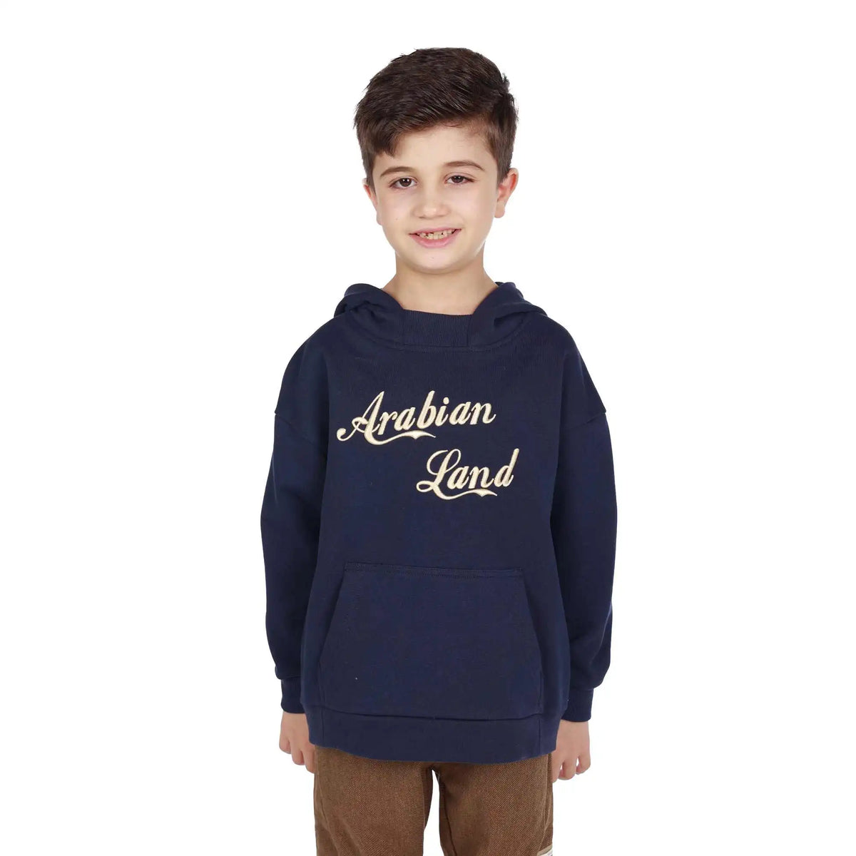 embroidery elegant pullover for boys image