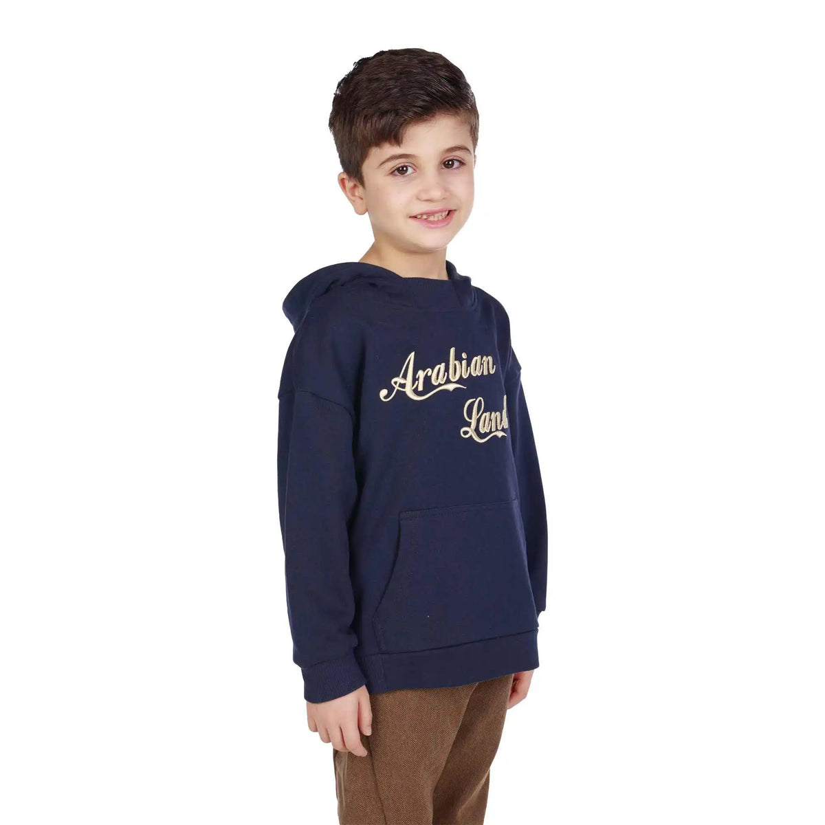 embroidery elegant pullover for boys image