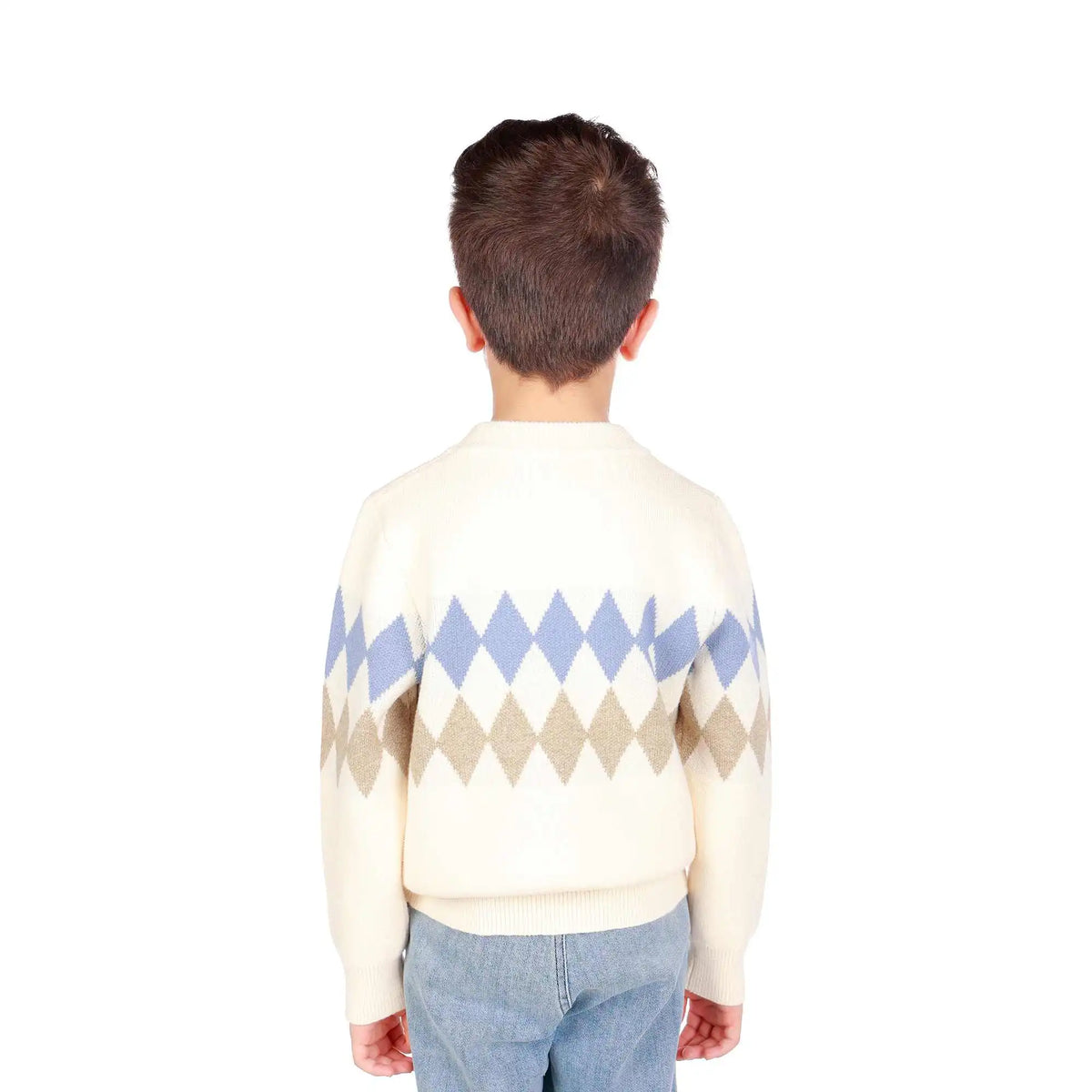 prominent print elegant sweater for boys image