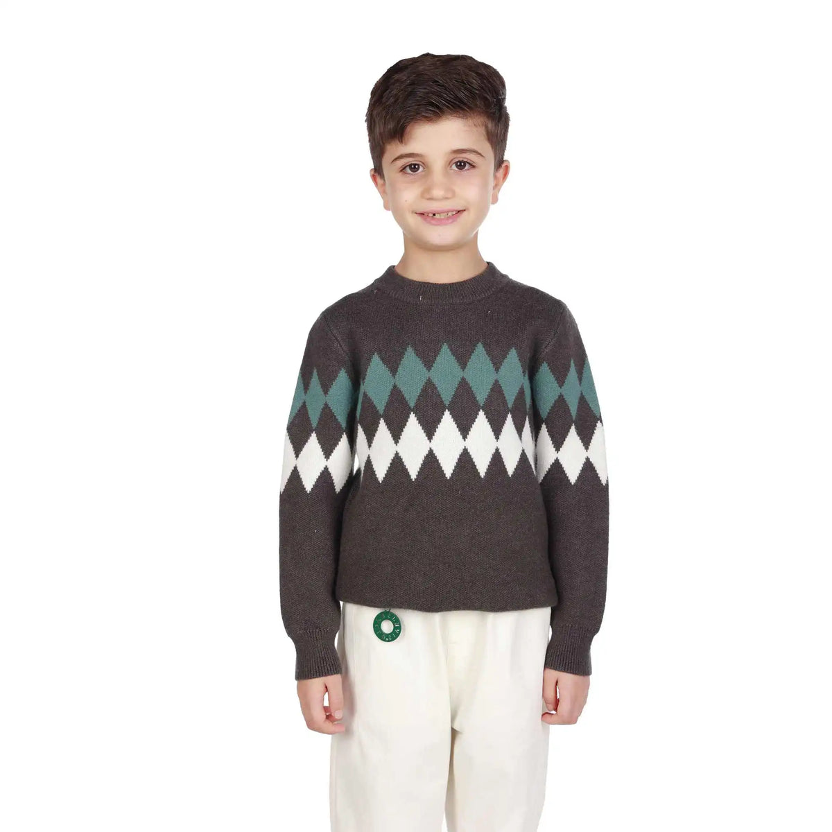 prominent print elegant sweater for boys image