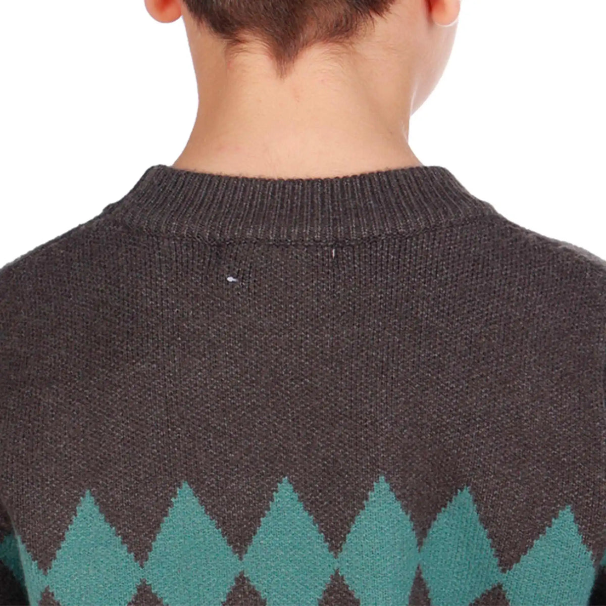 prominent print elegant sweater for boys image