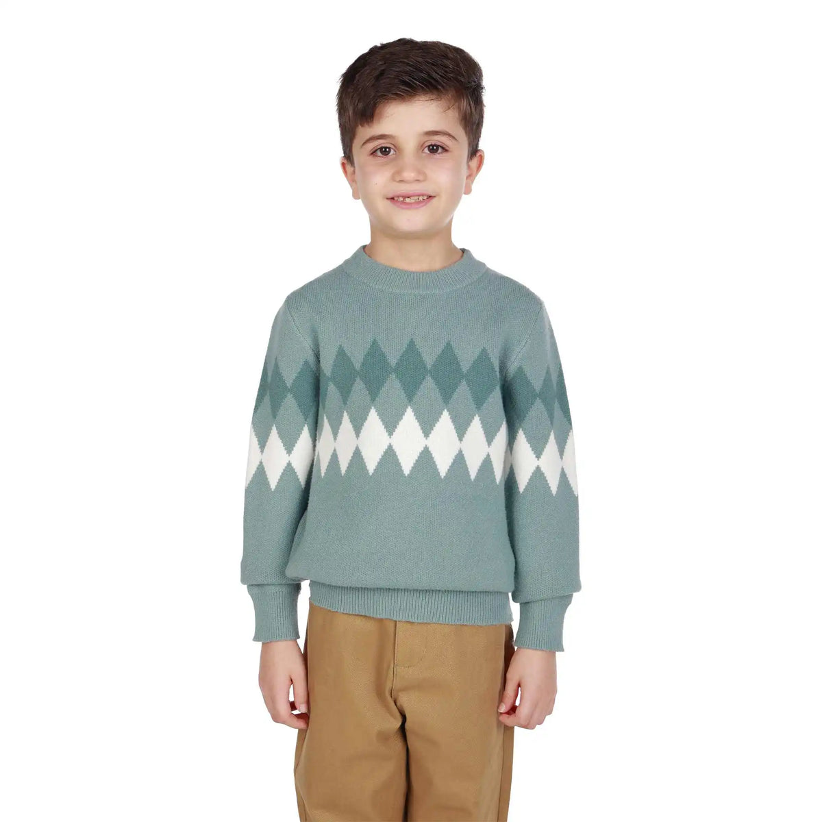 prominent print elegant sweater for boys image