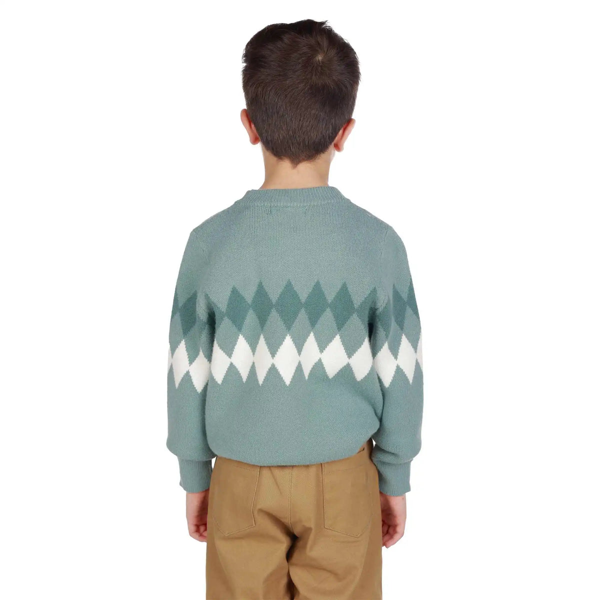 prominent print elegant sweater for boys image