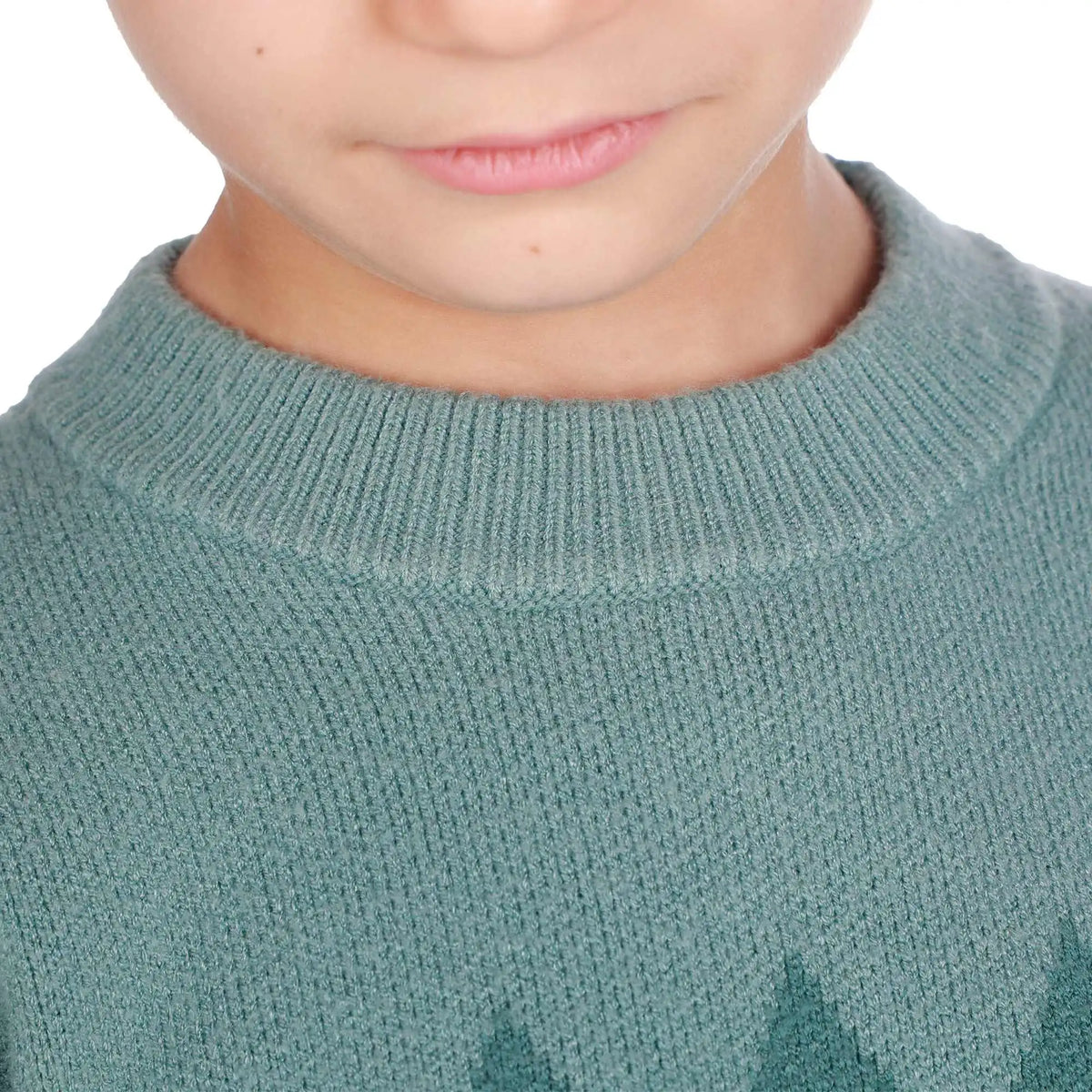 prominent print elegant sweater for boys image