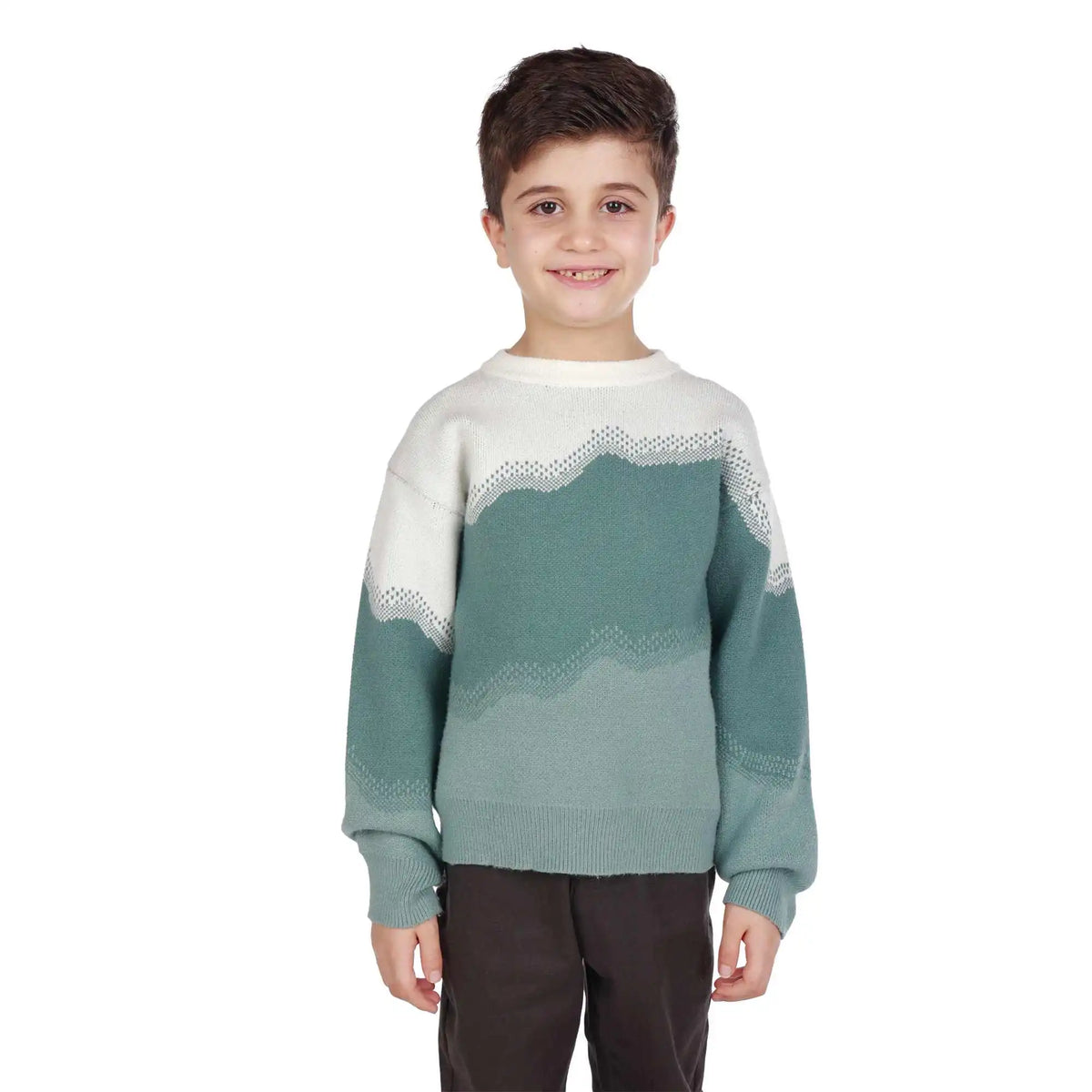 Color-Blocked Elegant Sweater For Boys