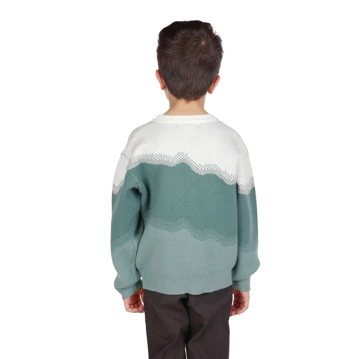 Color-Blocked Elegant Sweater For Boys