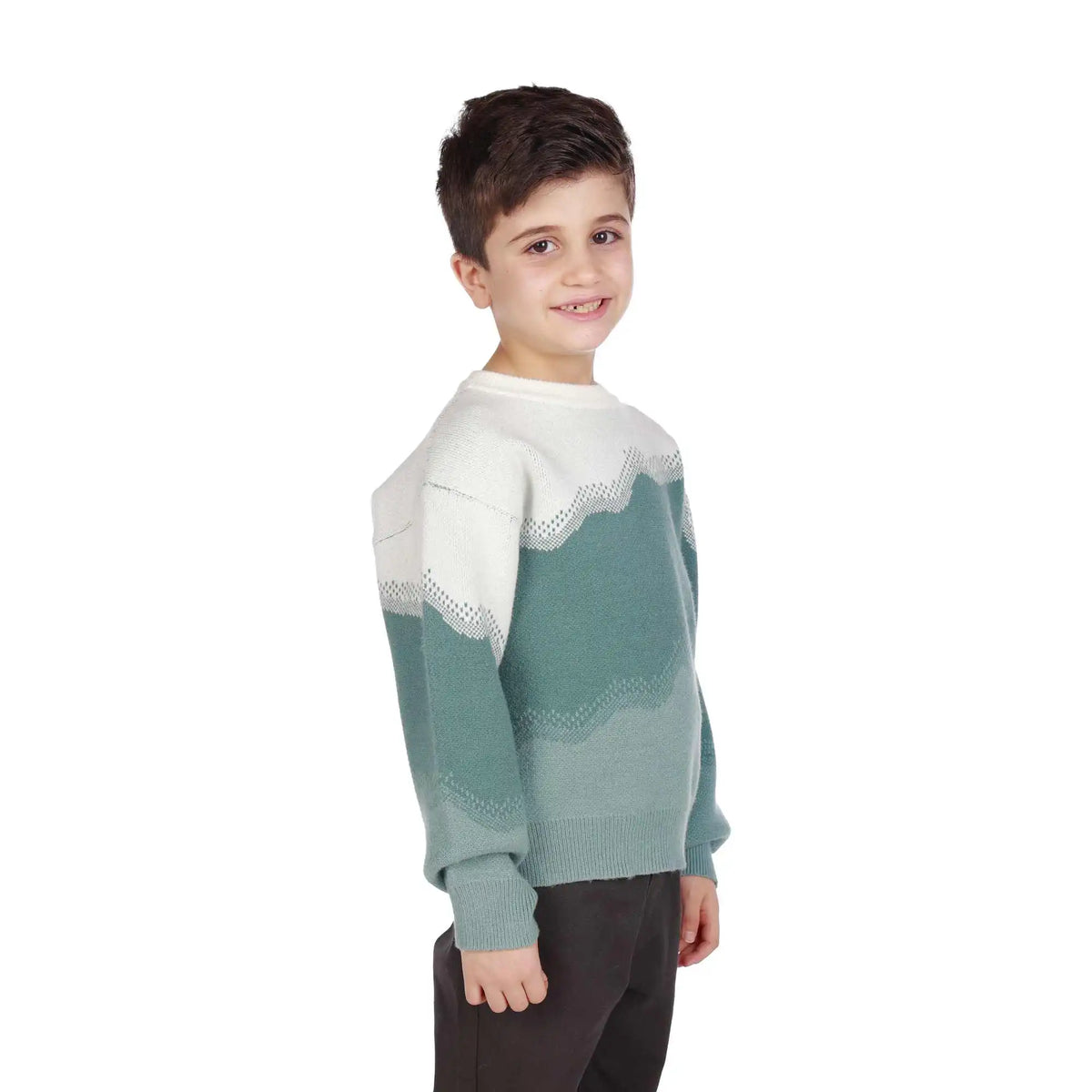 Color-Blocked Elegant Sweater For Boys