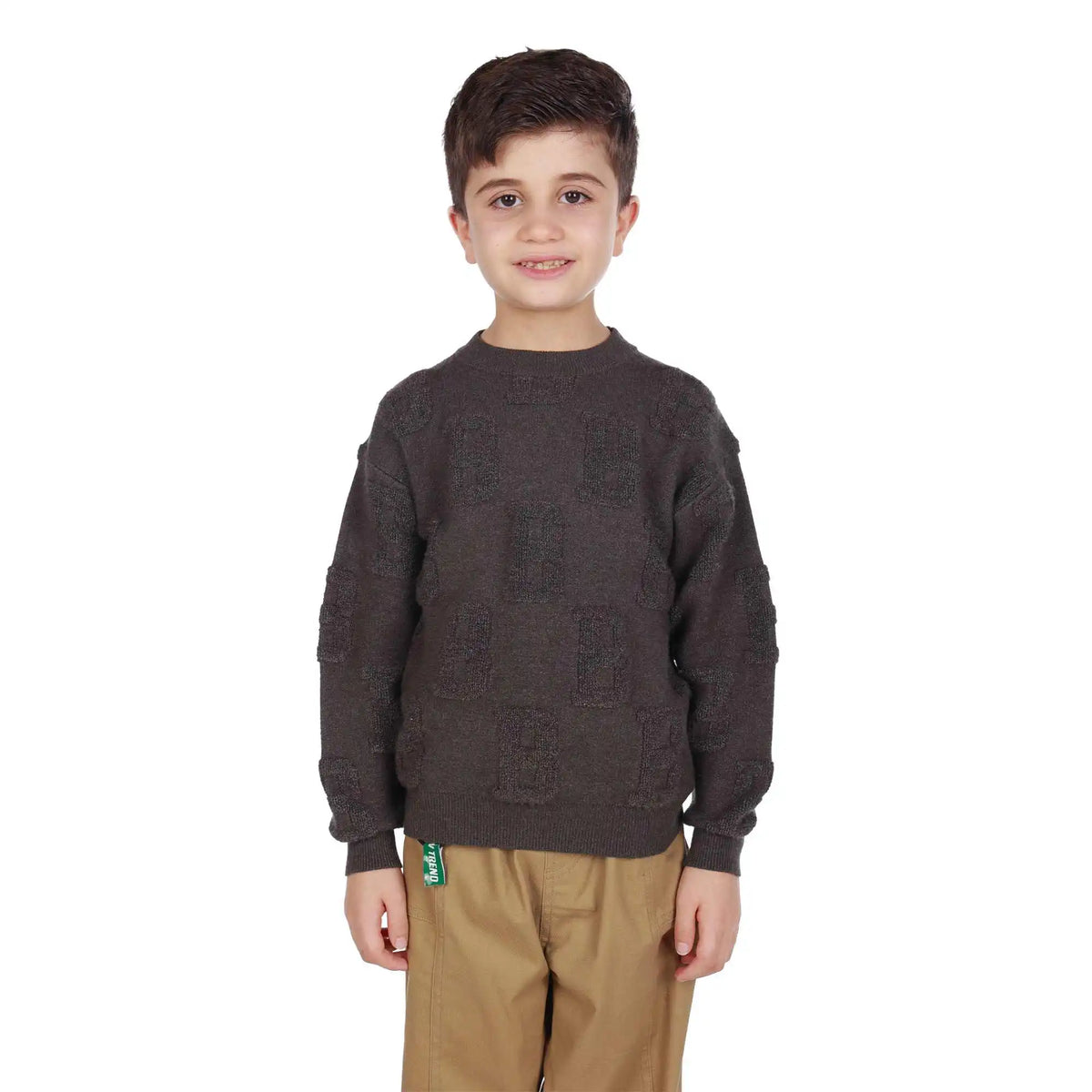 Jacquard Elegant Sweater For Boys 130 | 7-8Y Dark Gray 130 | 7-8Y,48.5,80,42, Image