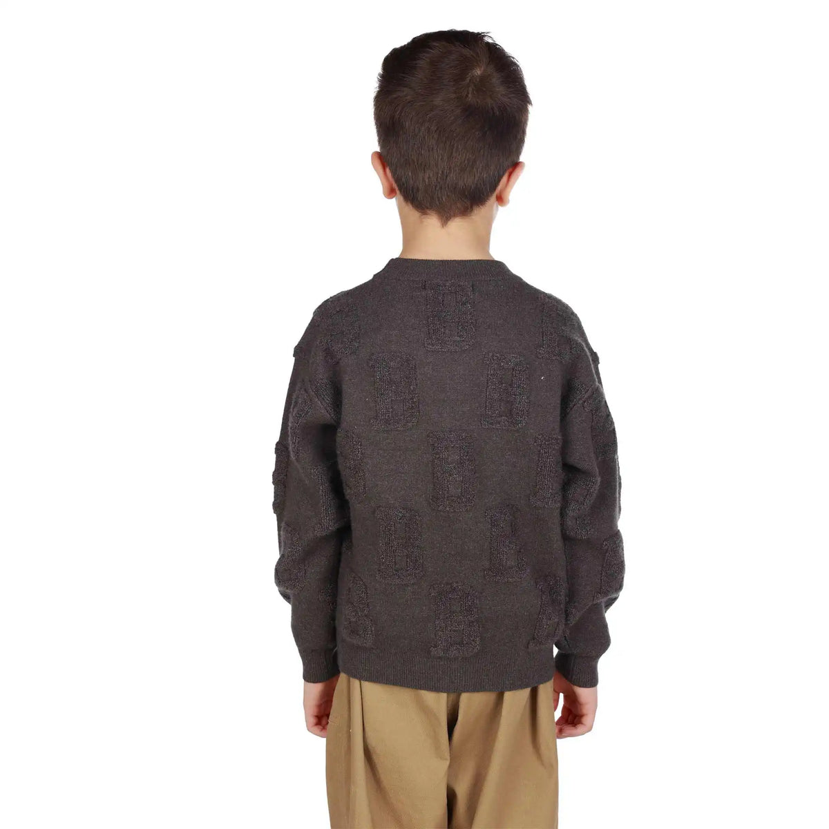 Jacquard Elegant Sweater For Boys Image