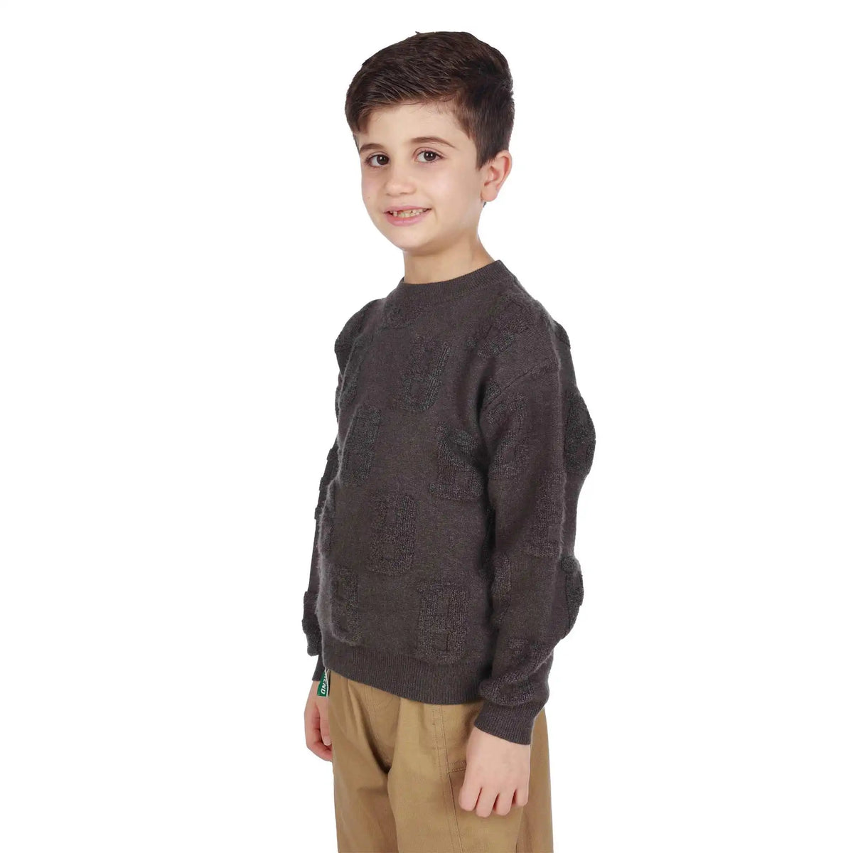 Jacquard Elegant Sweater For Boys Image