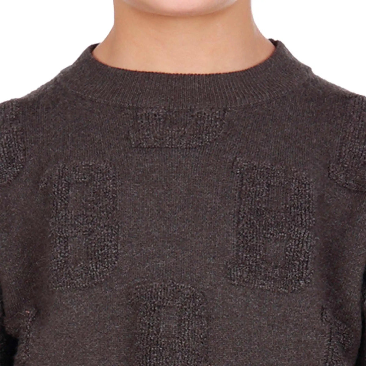 Jacquard Elegant Sweater For Boys Image