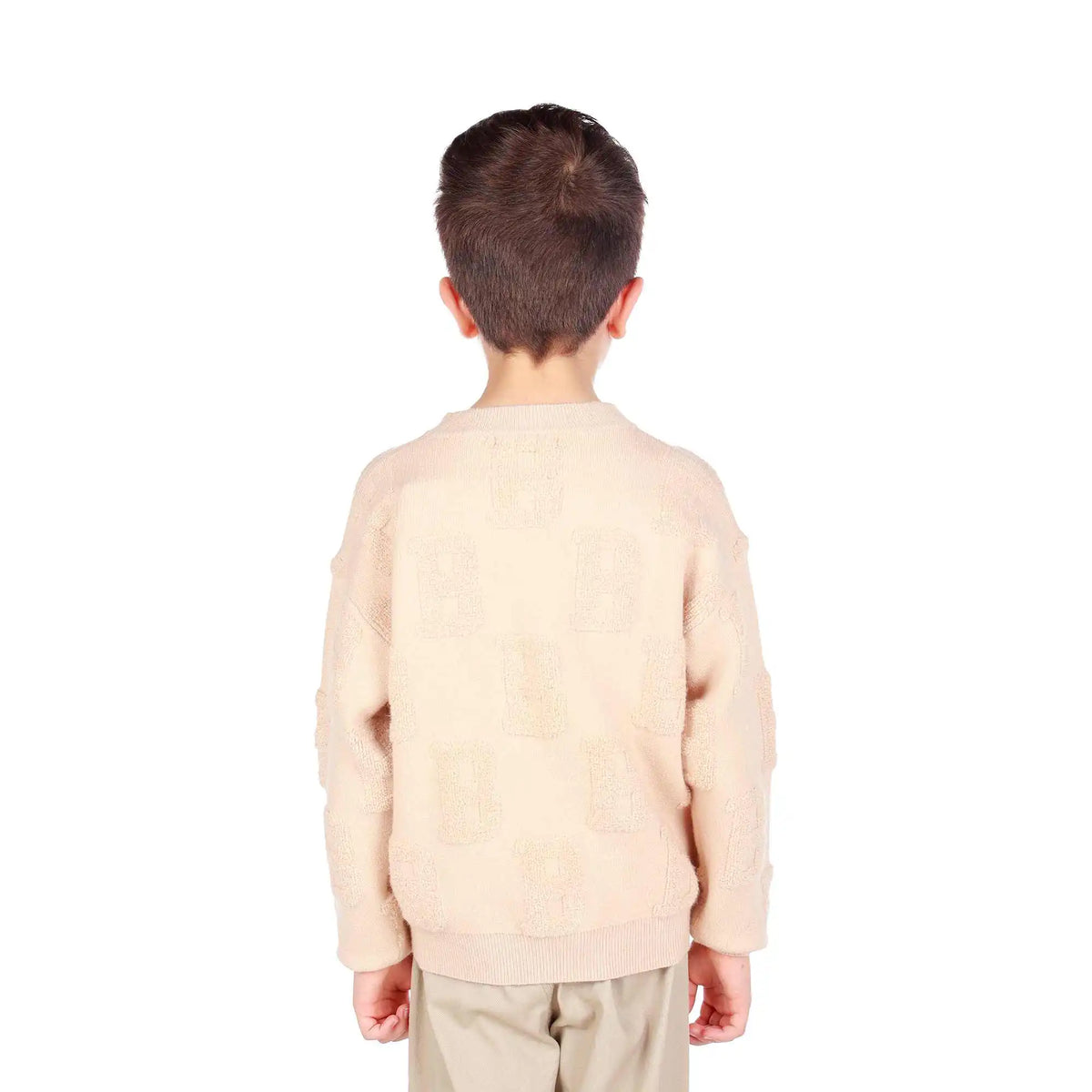 Jacquard Elegant Sweater For Boys Image