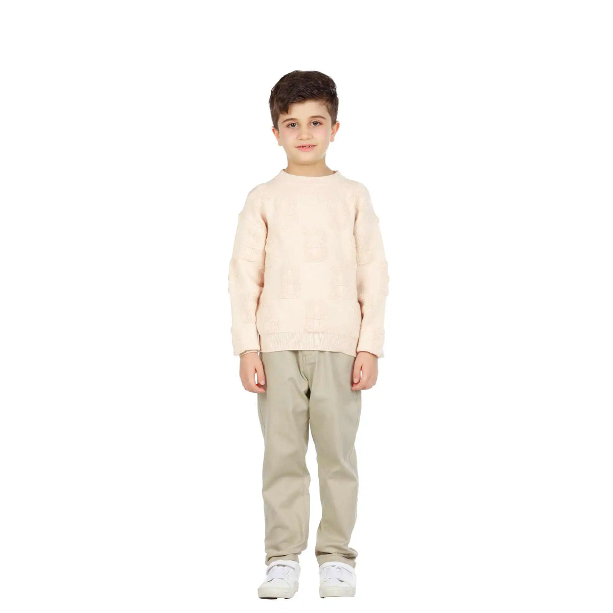 Jacquard Elegant Sweater For Boys Image