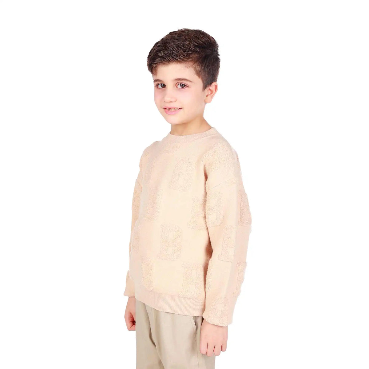 Jacquard Elegant Sweater For Boys Image