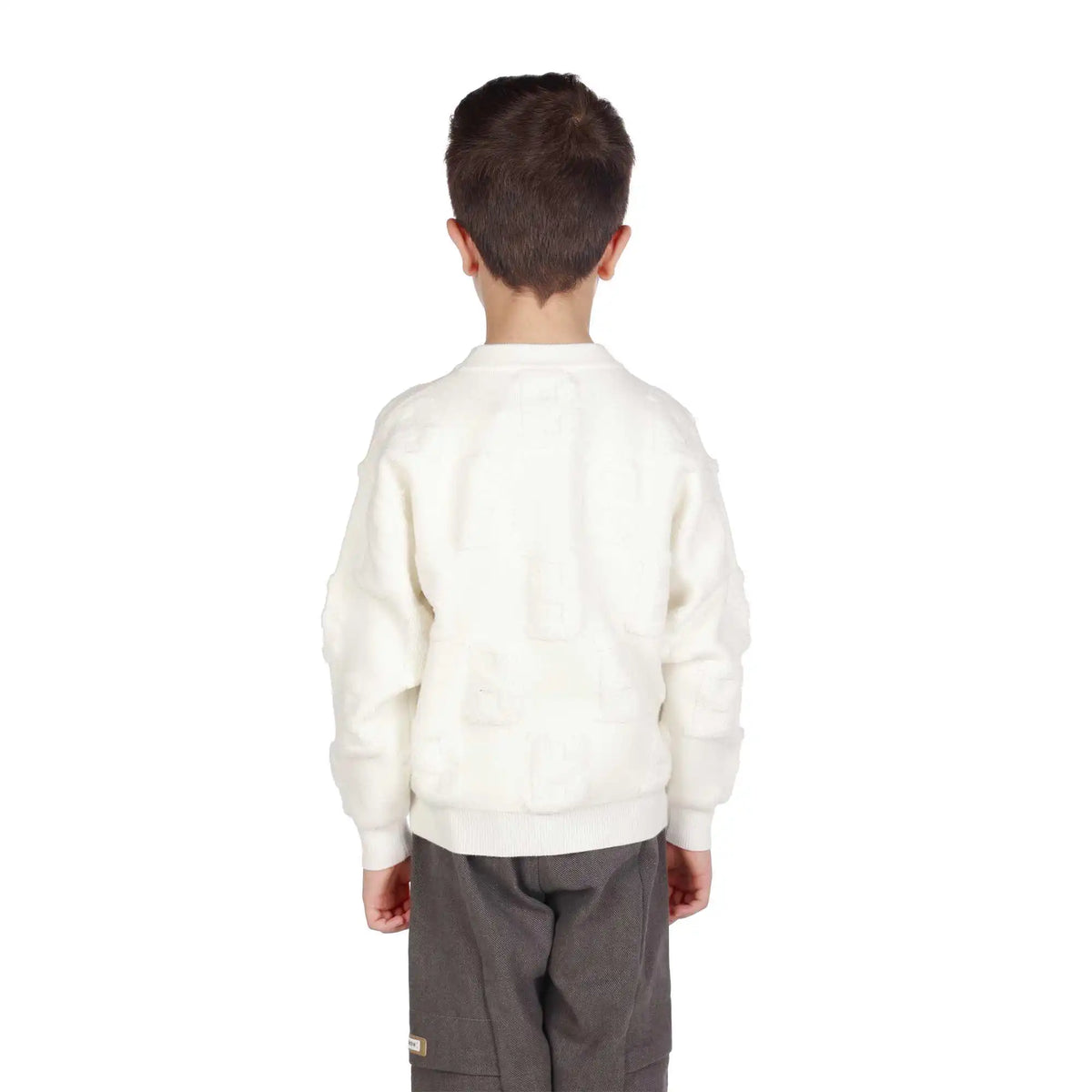 Jacquard Elegant Sweater For Boys Image