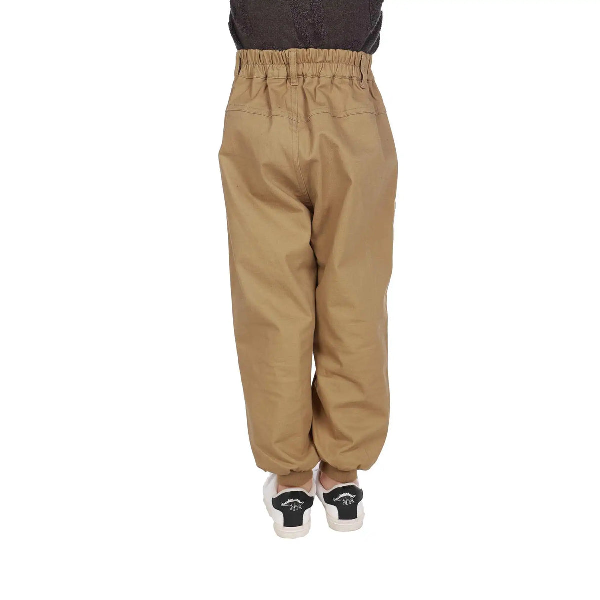 ankle tied elegant pants for boys image