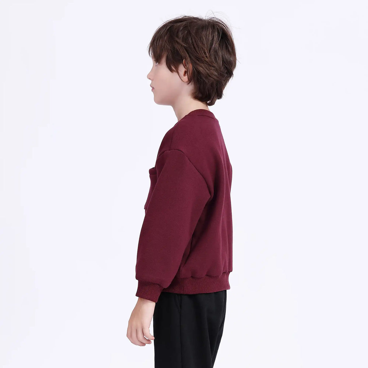 Printed Casual Pullover For Boys Image