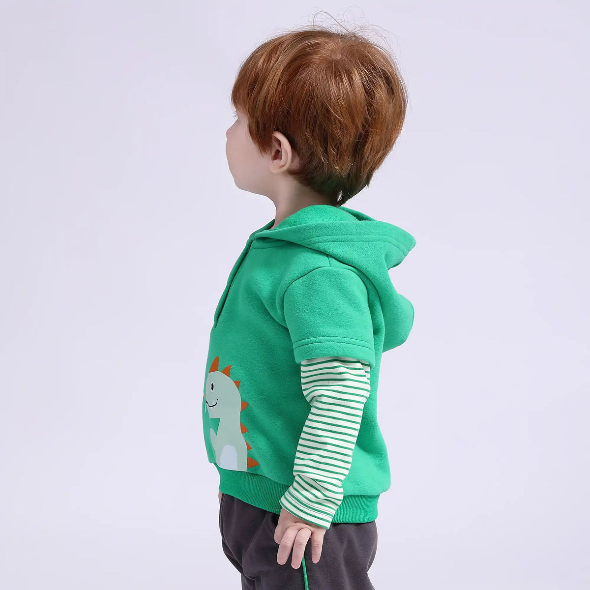 Printed Casual Pullover for Babies Boys