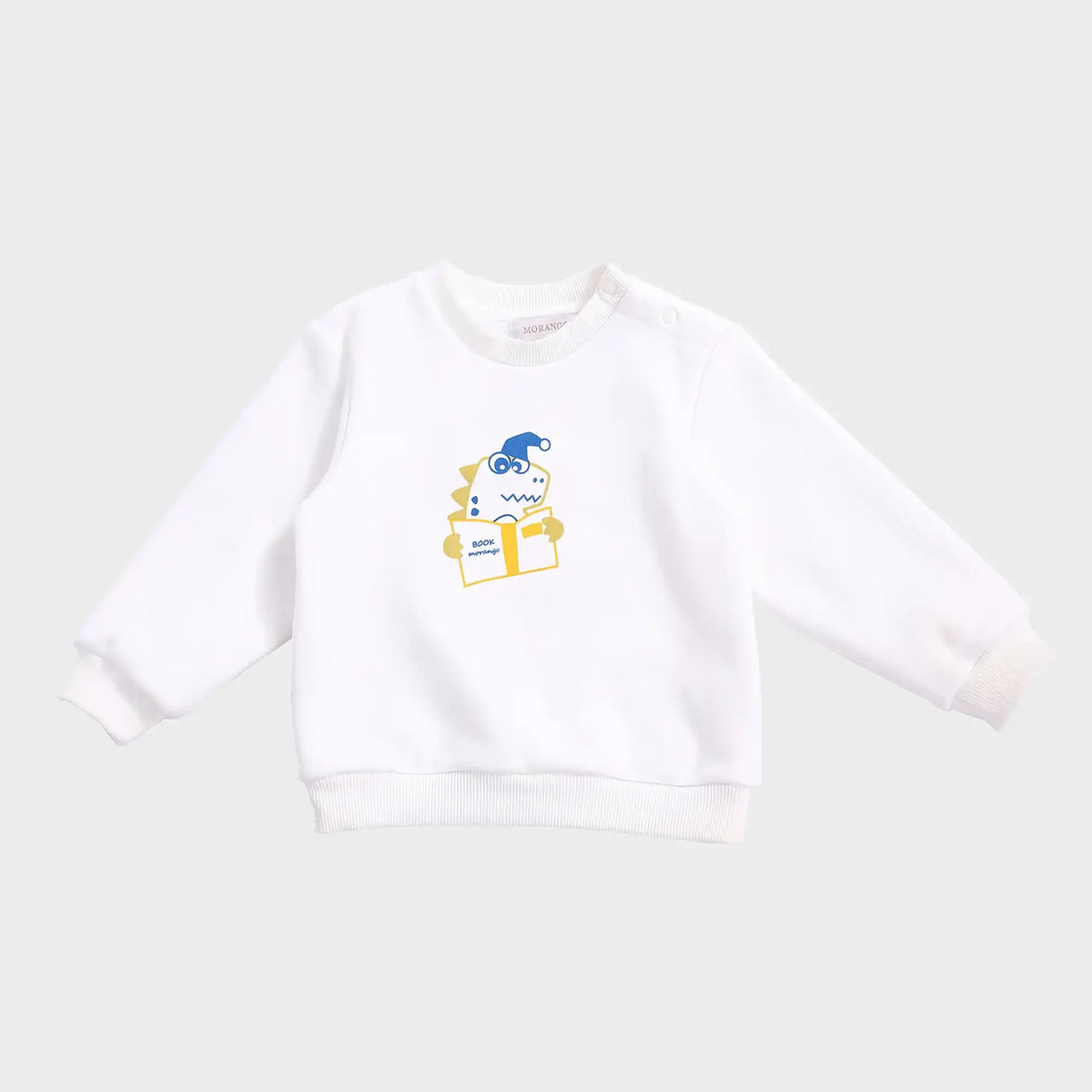 Printed Casual Pullover for Babies Boys