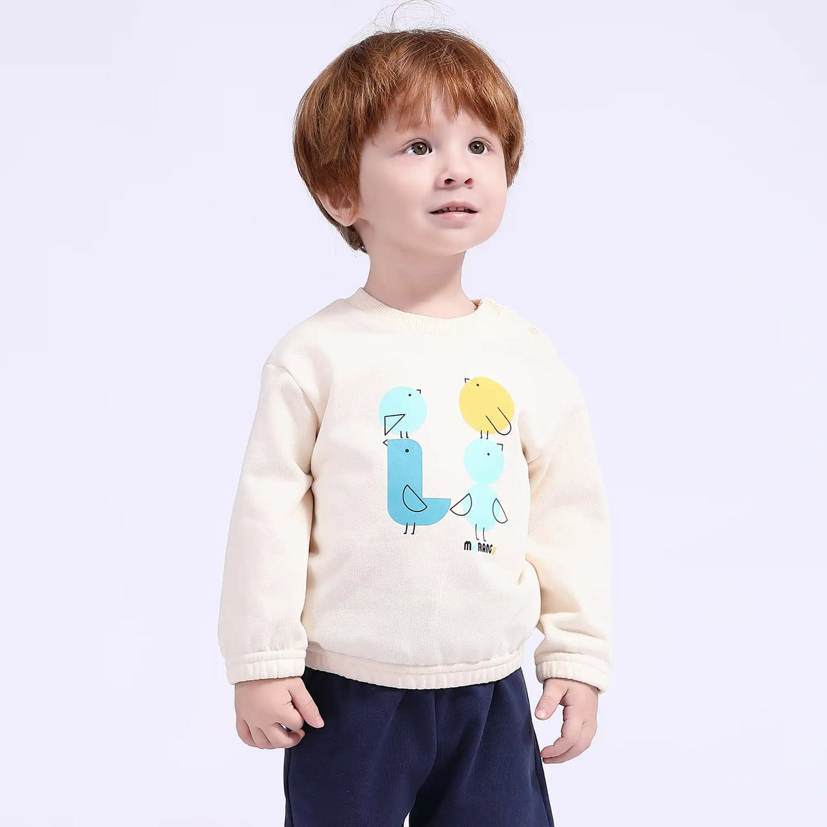 Printed Casual Pullover for Babies Boys