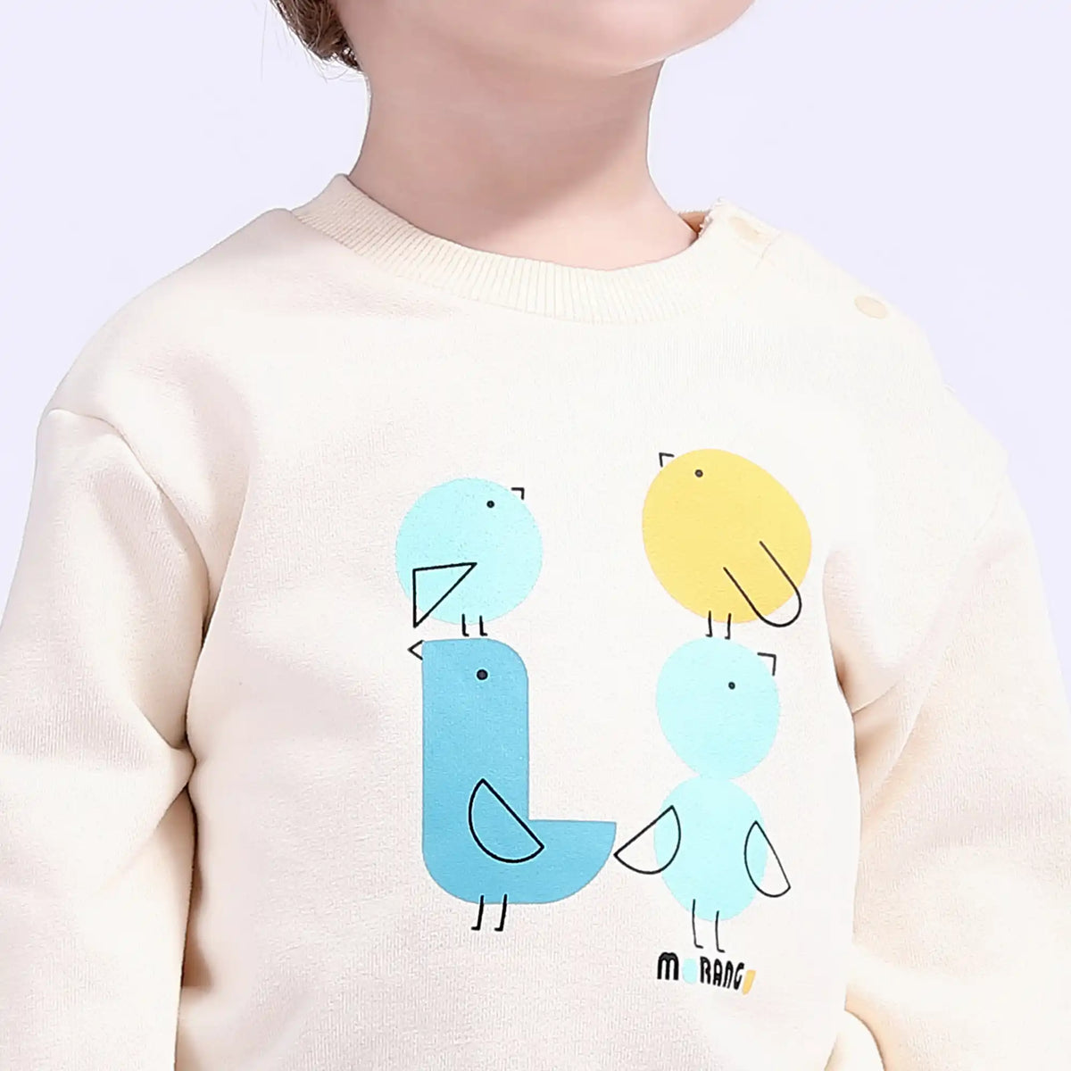 Printed Casual Pullover for Babies Boys