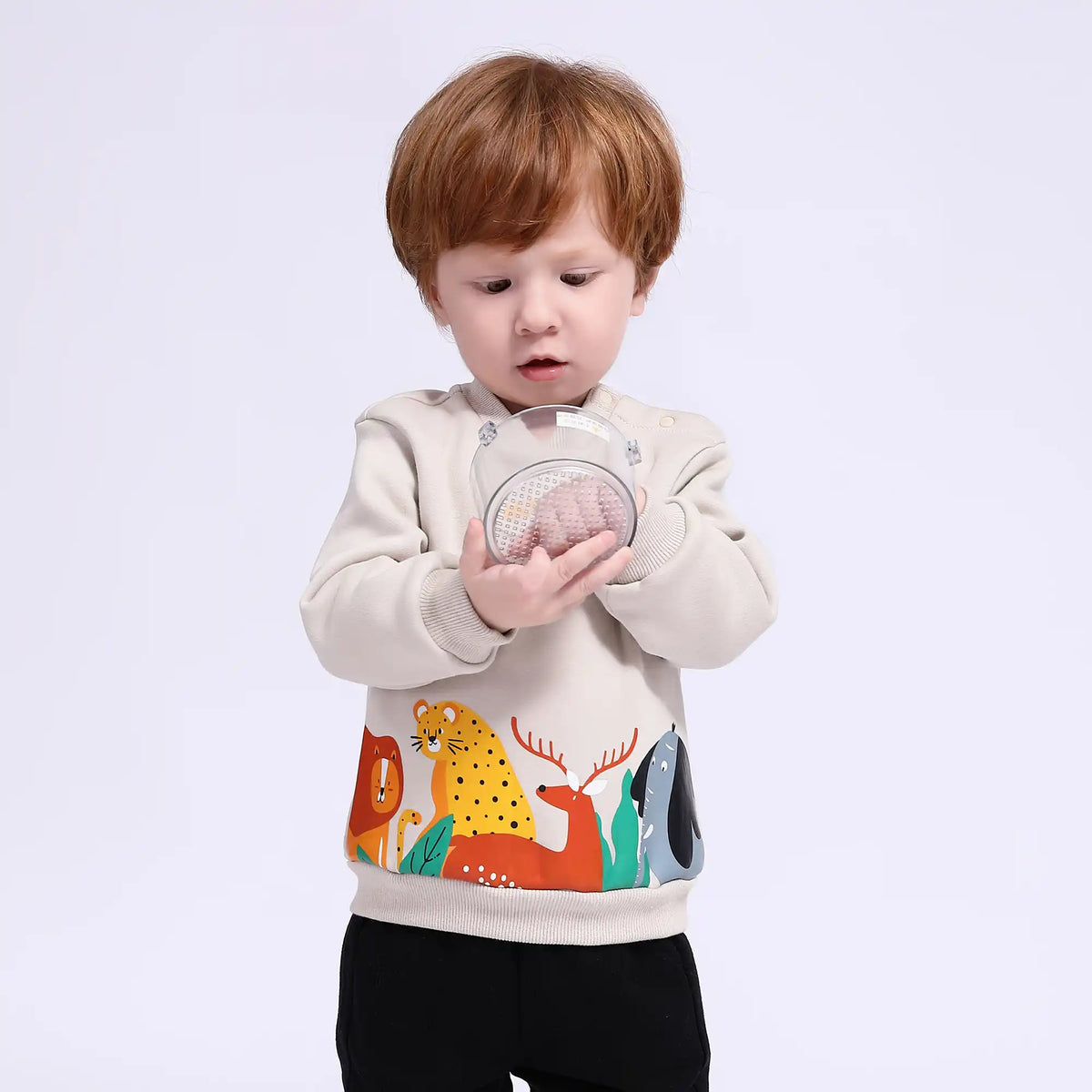 Printed Casual Pullover for Babies Boys