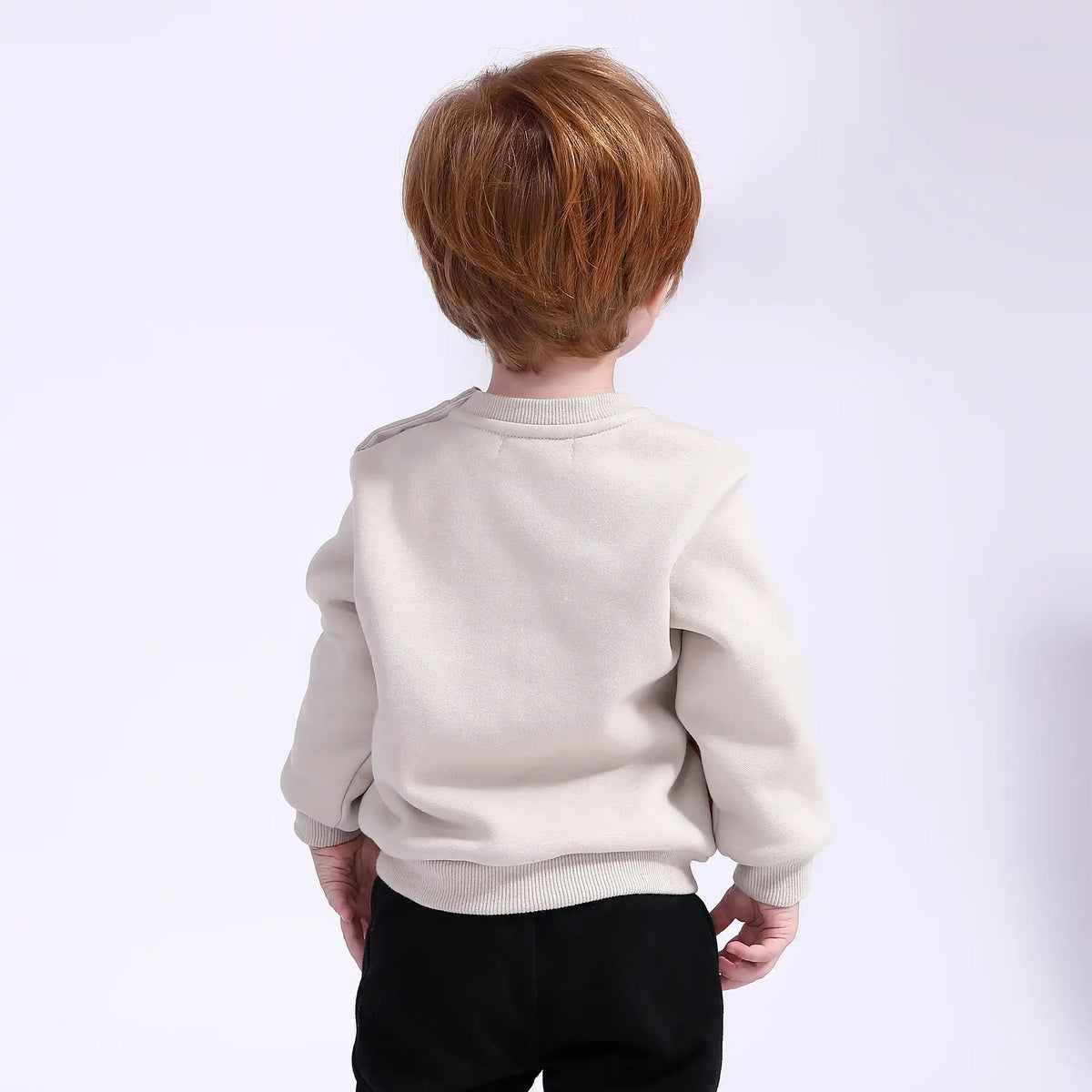 Printed Casual Pullover for Babies Boys