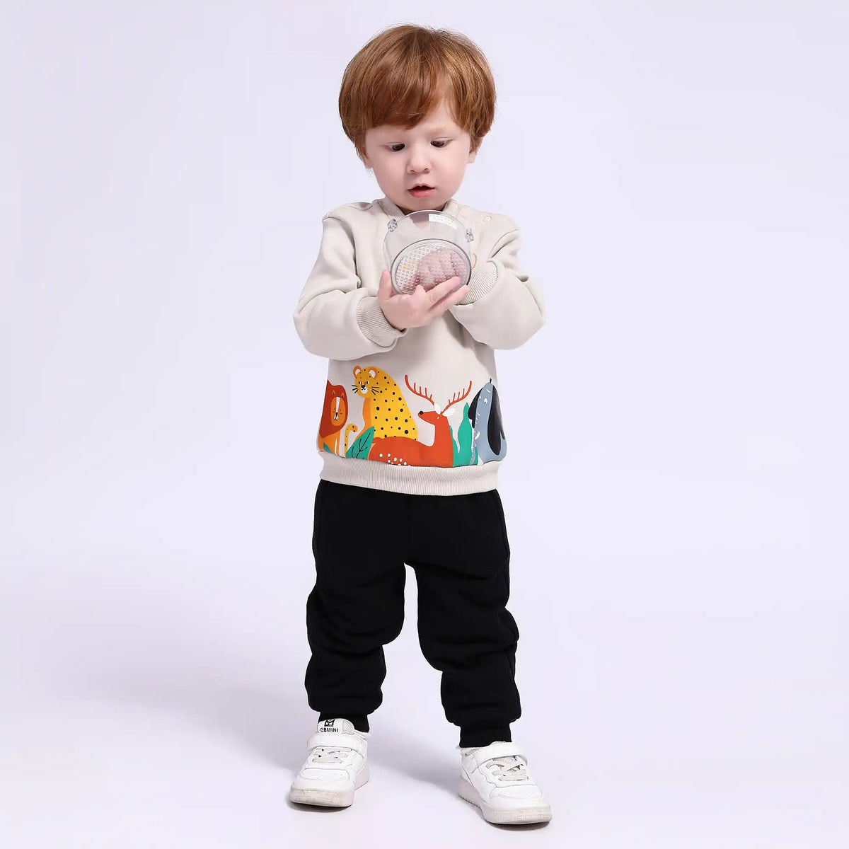 Printed Casual Pullover for Babies Boys