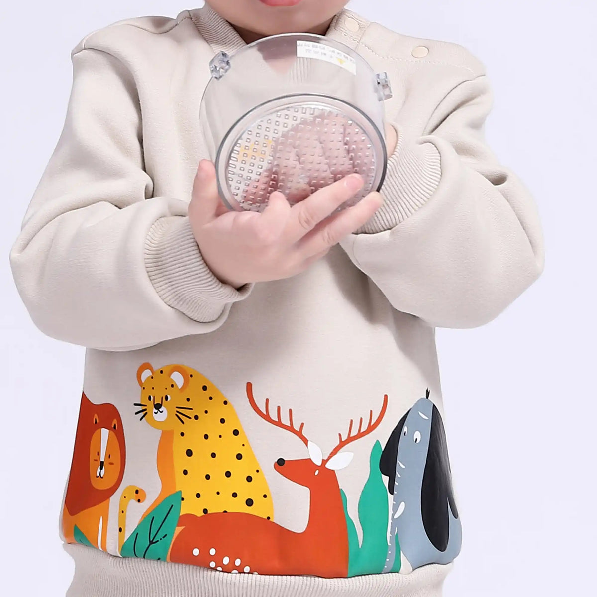 Printed Casual Pullover for Babies Boys