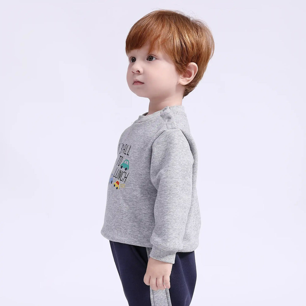 Printed Basic Pullover for Babies Boys Image